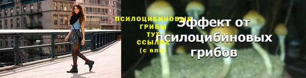 мяу мяу мука Бугульма