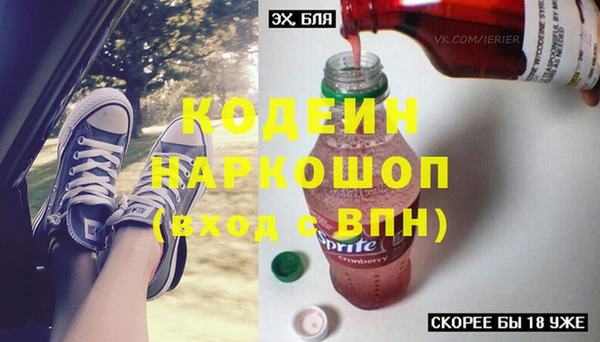 прущие грибы Семилуки