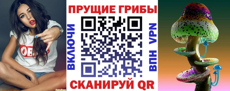 цена наркотик  Туймазы  Псилоцибиновые грибы мицелий 